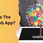 What Is The TanzoHub App