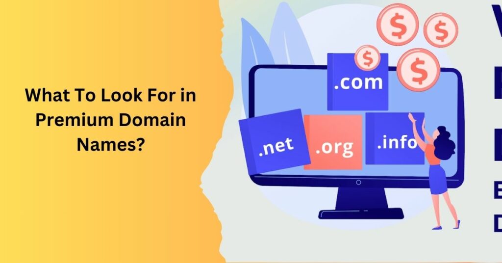 What To Look For in Premium Domain Names