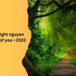 dreams of daylight nguyen duy tri • jungle of you • 2022