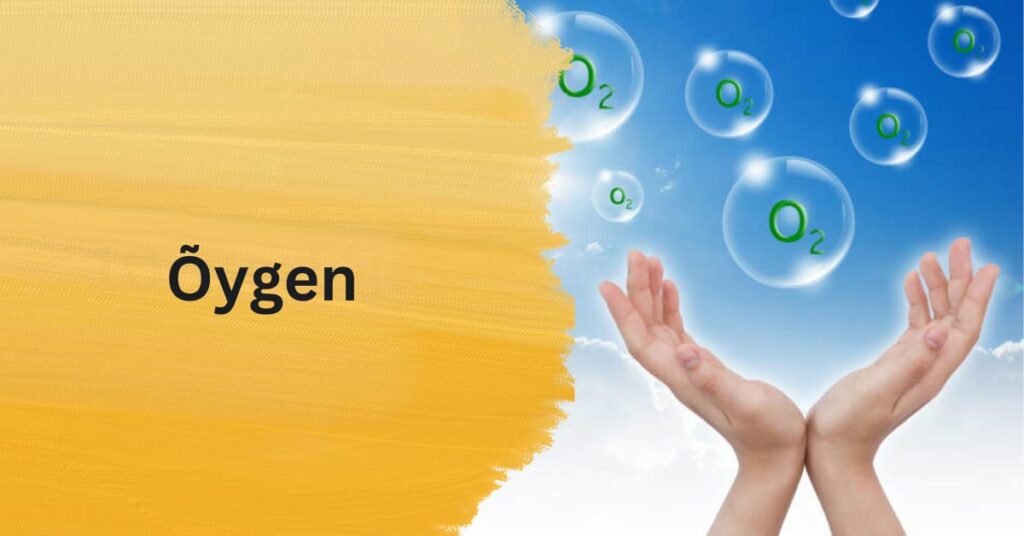 Õygen - Experience The Essence Of Innovation With Õygen!