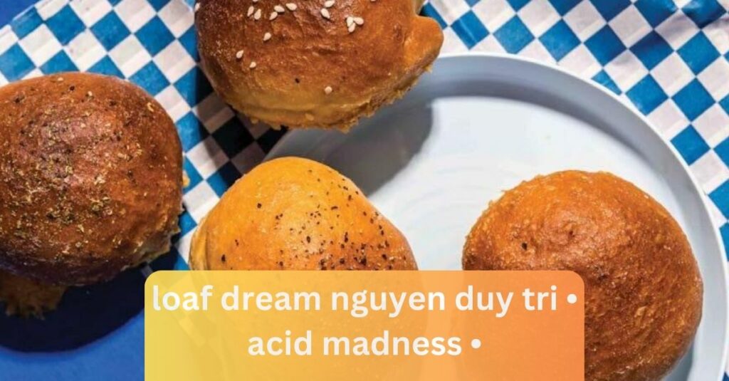 loaf dream nguyen duy tri • acid madness • 2023