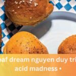 loaf dream nguyen duy tri • acid madness • 2023