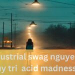 industrial swag nguyen duy tri • acid madness • 2023
