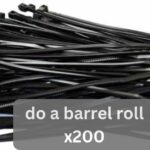 do a barrel roll x200